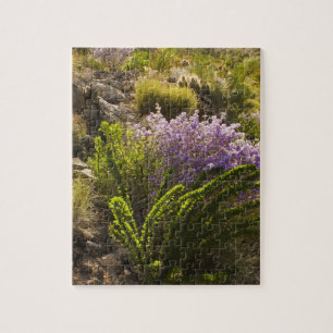 Chihuahuan desert plants in bloom jigsaw puzzle