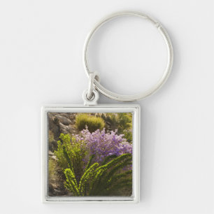 Chihuahuan desert plants in bloom key ring