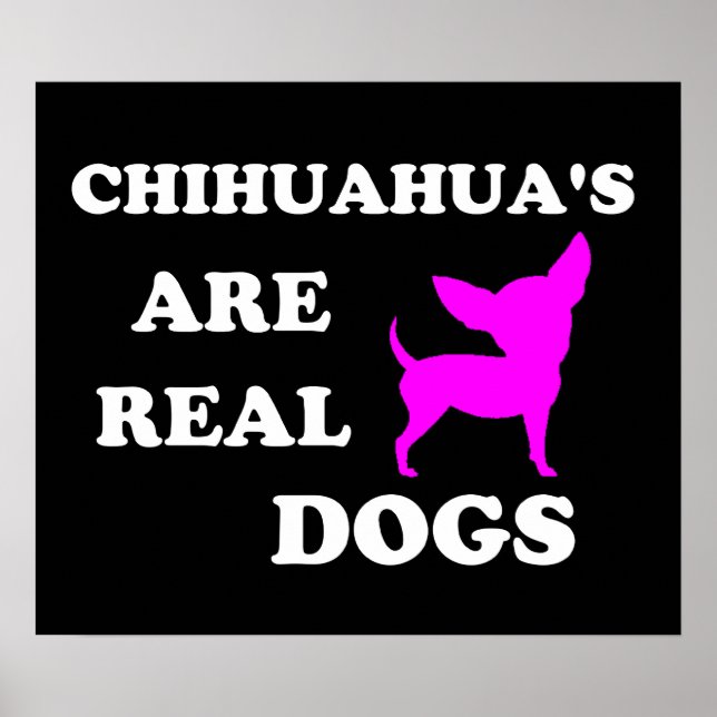 Chihuahua's are real dogs poster (Front)