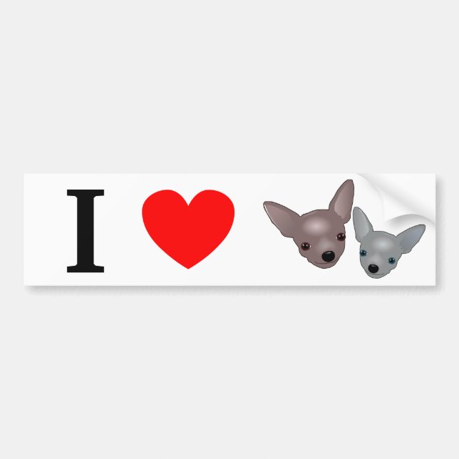 Chihuahuas Bumper Sticker (Front)