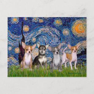 Chihuahuas (four) - Starry Night Postcard