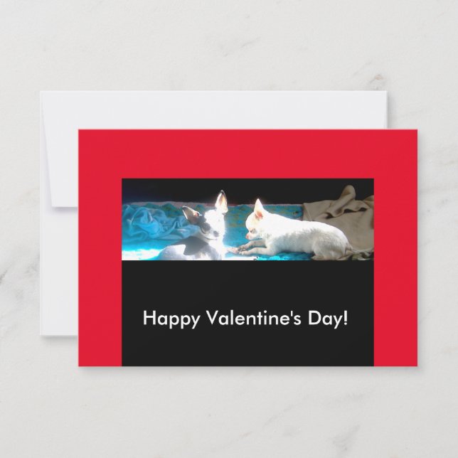 Chihuahuas in Love Valentine Cards (Front)
