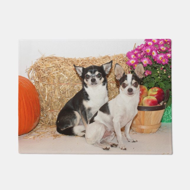 Chihuahua's in the fall doormat (Front)