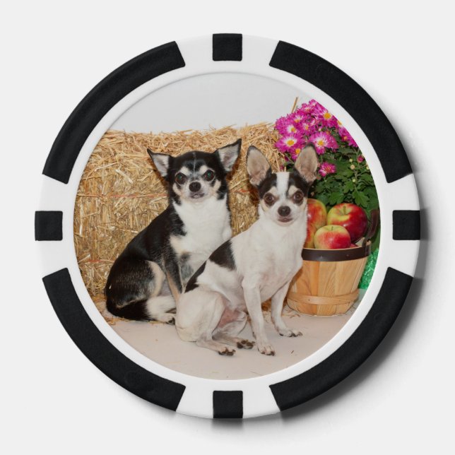 Chihuahua's in the fall poker chips (Front)