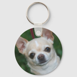 chihuahuas key ring