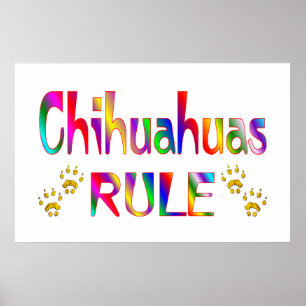Chihuahuas Rule Poster