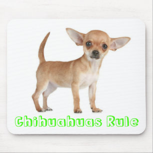 Chihuahuas Rule Puppy Dog Computer Mouse Pad