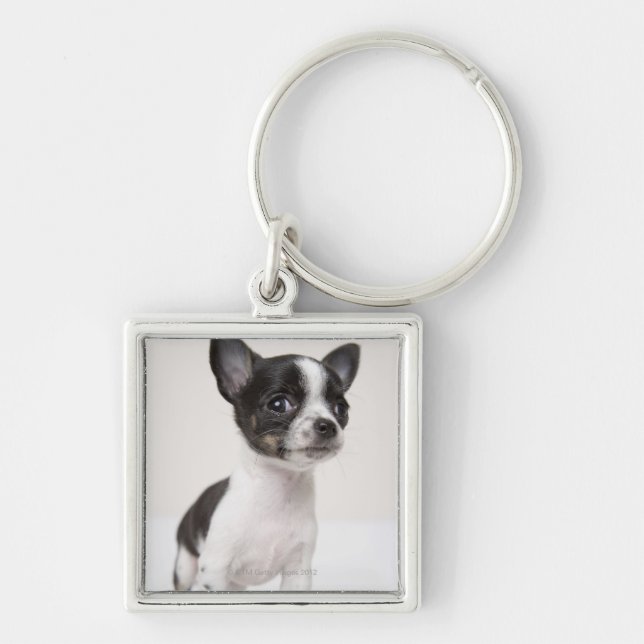 Chihuhua puppy standing on white fabric key ring (Front)