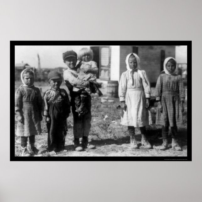 Child Beet Farm Workers Near Sterling, CO 1915 Poster (Front)