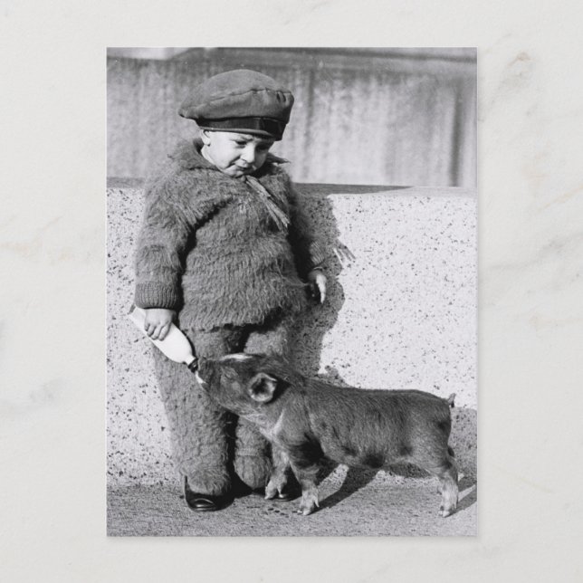 Child feeding piglet with bottled milk postcard (Front)