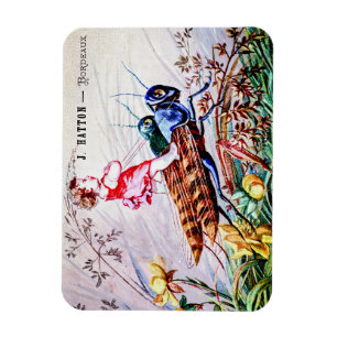 Child Riding Grasshoppers Magnet