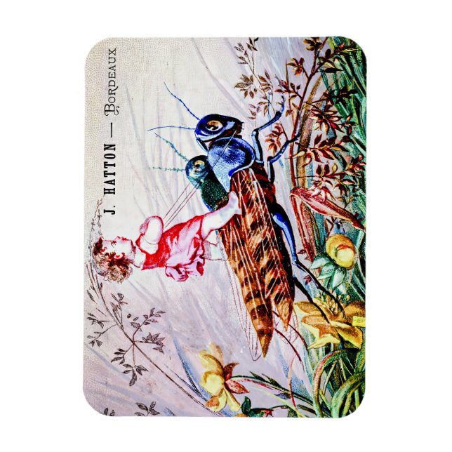 Child Riding Grasshoppers Magnet (Vertical)