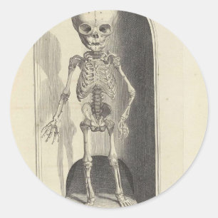 Child Skeleton Classic Round Sticker