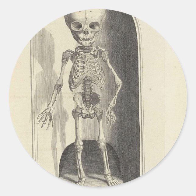 Child Skeleton Classic Round Sticker (Front)