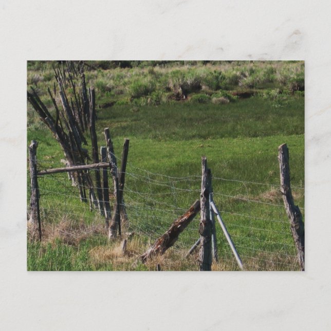 Childhood I Postcard (Front)