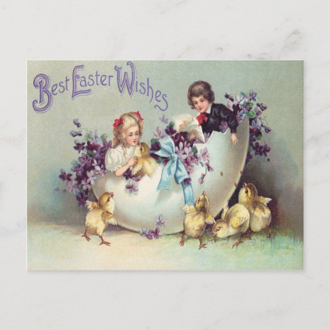 Children Easter Chick Egg Violets Holiday Postcard (Front)