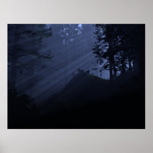 Children of the Night Poster