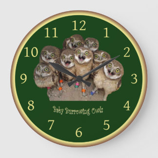 Children’s Clock ~ Baby Burrowing Owls ~