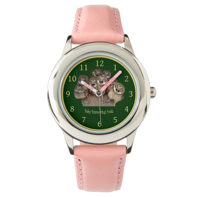 Children’s Clock ~ Baby Burrowing Owls ~  Watch (Front)