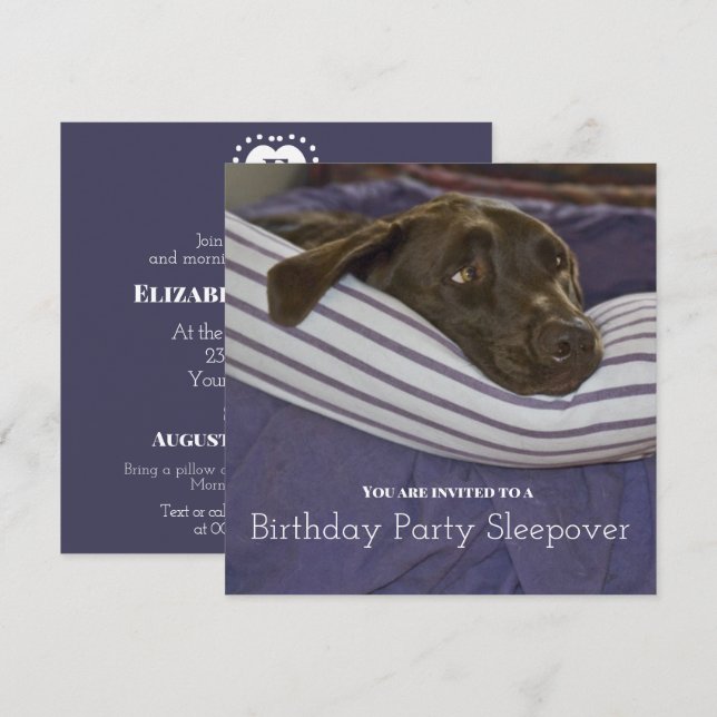 Children's Birthday Party Sleepy Dog Sleepover Invitation (Front/Back)