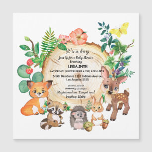 Children's books about forest and forest plants in