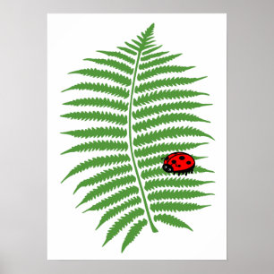 Childrens Colourful Ladybug Poster Print