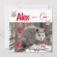 Children's First Birthday Invitation Possum Nature