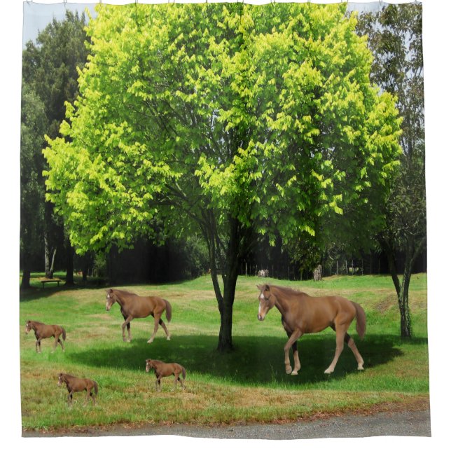 Childrens horses shower curtain (Front)