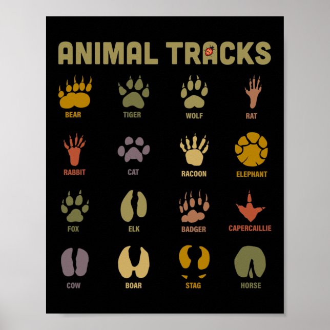 Children's Kids Wild Animal Tracks Childrens Learn Poster (Front)