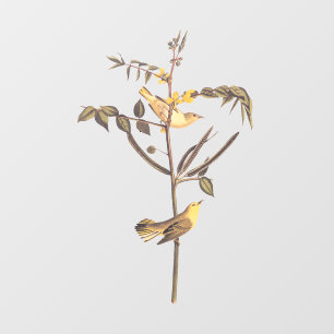 Children's Warbler Bird Window Cling