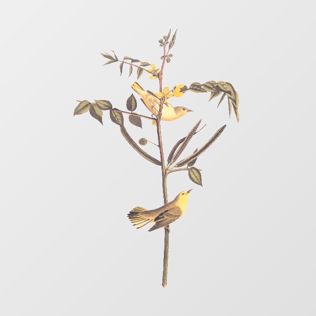 Children's Warbler Bird Window Cling (Sheet)