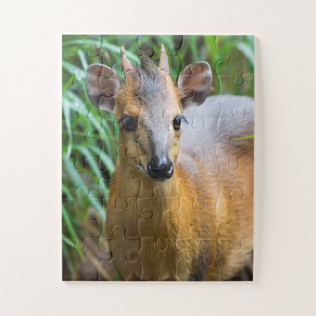 Children's Zoo Animal Puzzle (Vertical)