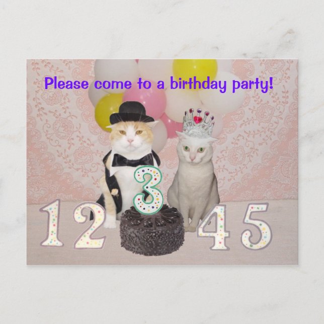 Child's Birthday Party Invitation (Front)