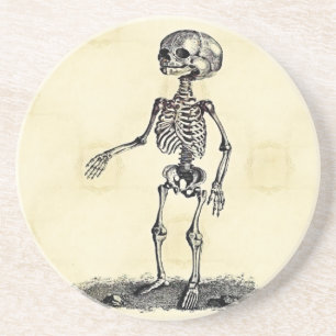Child's Skeleton Coaster