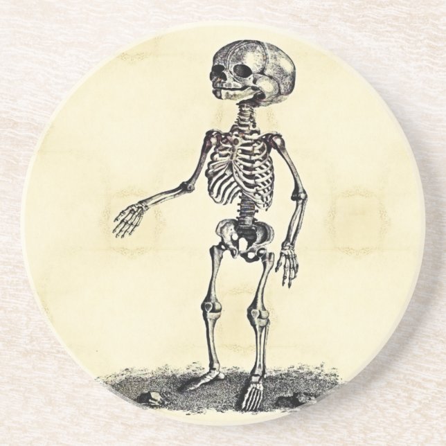 Child's Skeleton Coaster (Front)