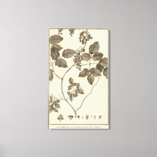 Chile 9 canvas print