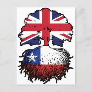 Chile Chilean British UK Tree Roots Flag Postcard