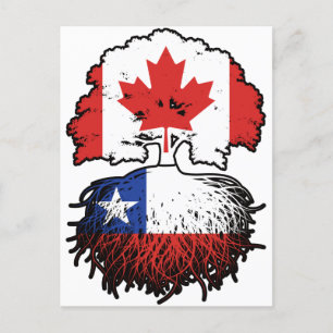 Chile Chilean Canadian Canada Tree Roots Flag Postcard