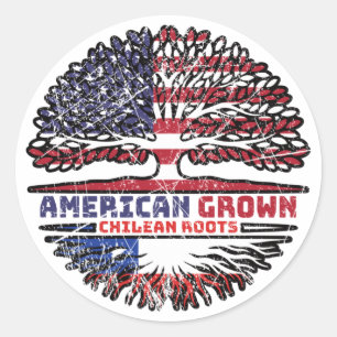Chile Chilean US American USA United States Tree Classic Round Sticker