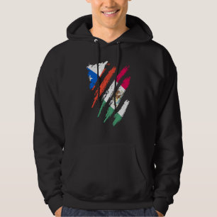 Chile Flag Mexico Grown Patriot Country Stripes Hoodie