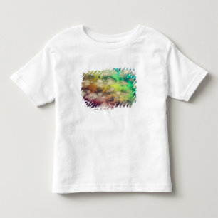 Chile - Landscape Aerial Shot South America Toddler T-Shirt