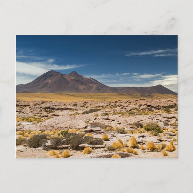 Chile - Volcano in the Atacama desert postcard (Front)