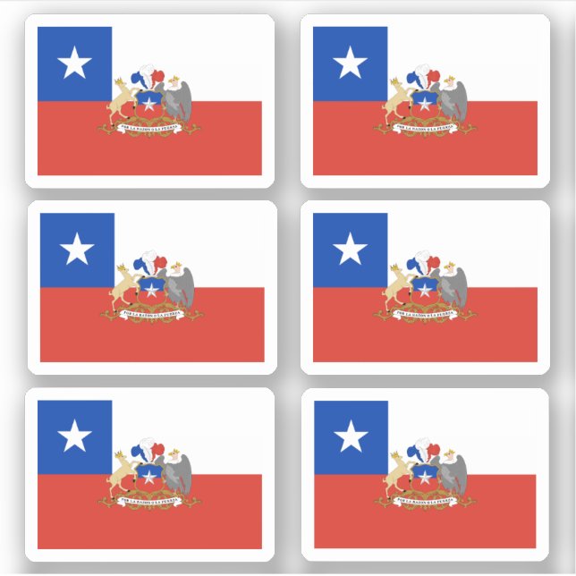 Chilean flag (Front)