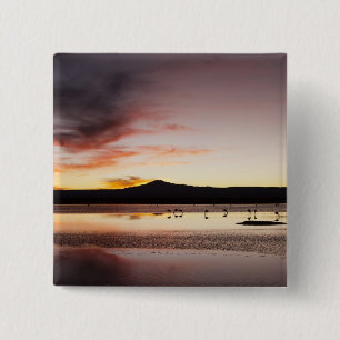 Chilean Flamingo 15 Cm Square Badge