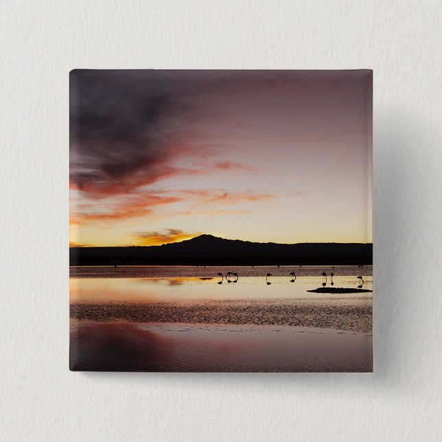 Chilean Flamingo 15 Cm Square Badge (Front)