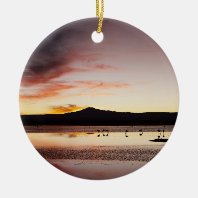 Chilean Flamingo Ceramic Tree Decoration (Front)