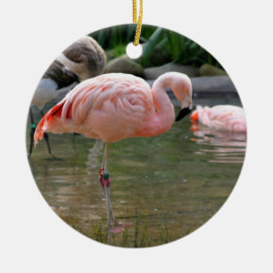 Chilean Flamingo Ceramic Tree Decoration