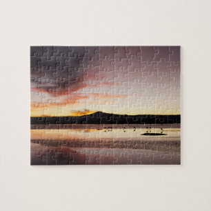 Chilean Flamingo Jigsaw Puzzle