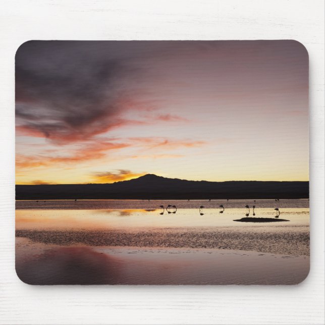 Chilean Flamingo Mouse Mat (Front)