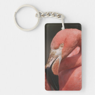 Chilean Flamingo, Phoenicopterus chilensis Key Ring
